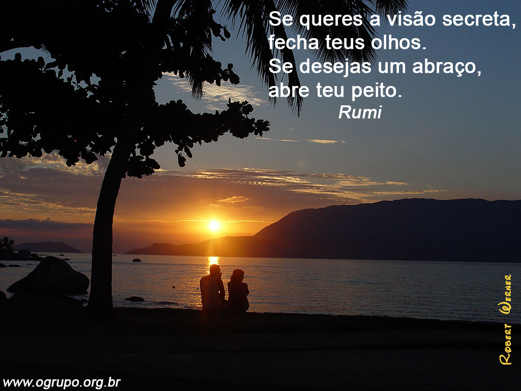 Amor Amor